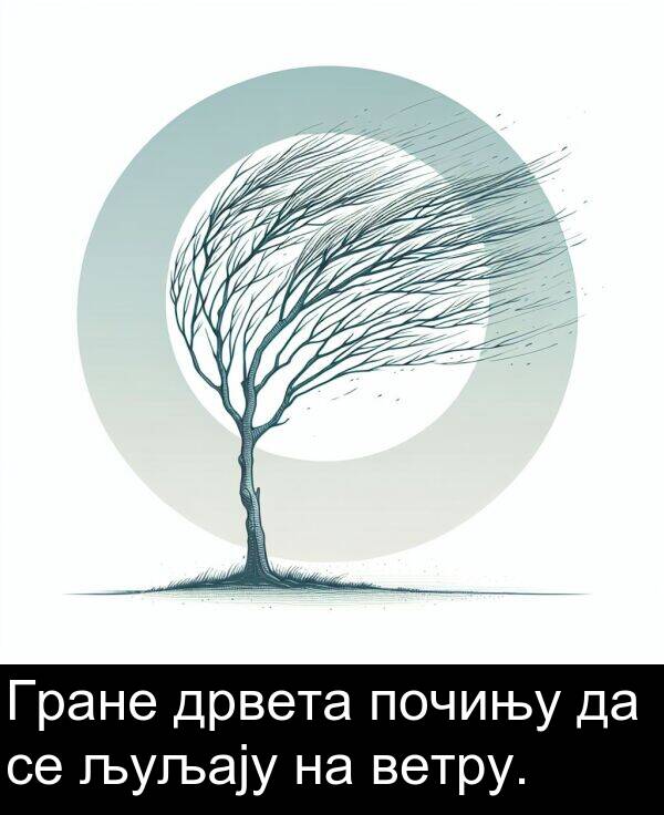 дрвета: Гране дрвета почињу да се љуљају на ветру.