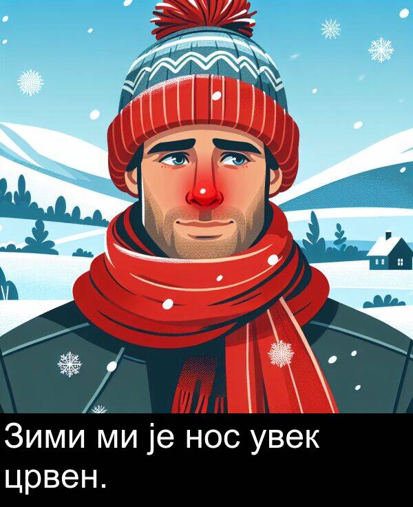 нос: Зими ми је нос увек црвен.