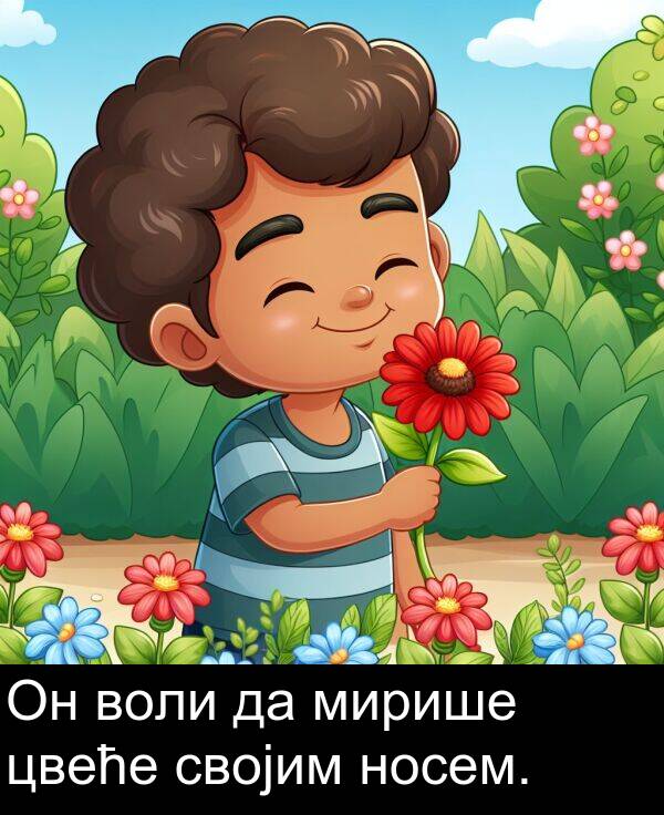 мирише: Он воли да мирише цвеће својим носем.