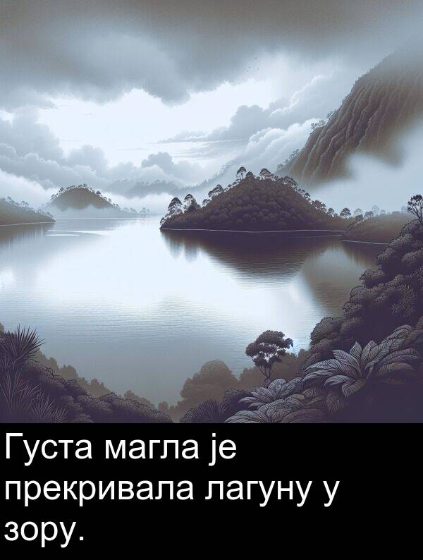 лагуну: Густа магла је прекривала лагуну у зору.
