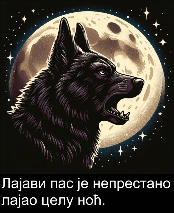 ноћ: Лајави пас је непрестано лајао целу ноћ.