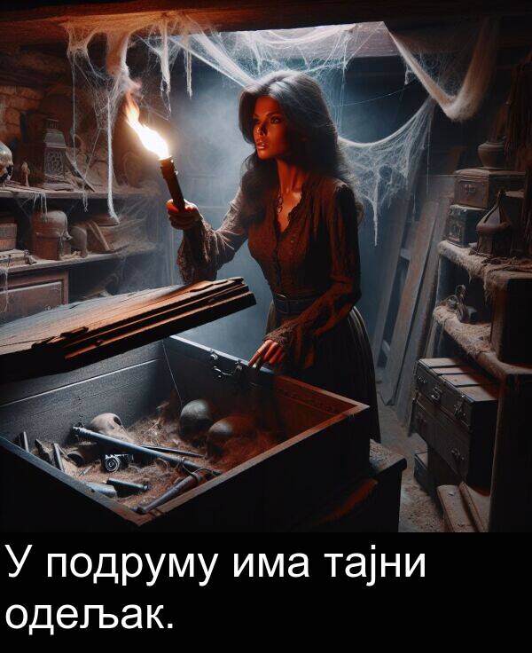 одељак: У подруму има тајни одељак.