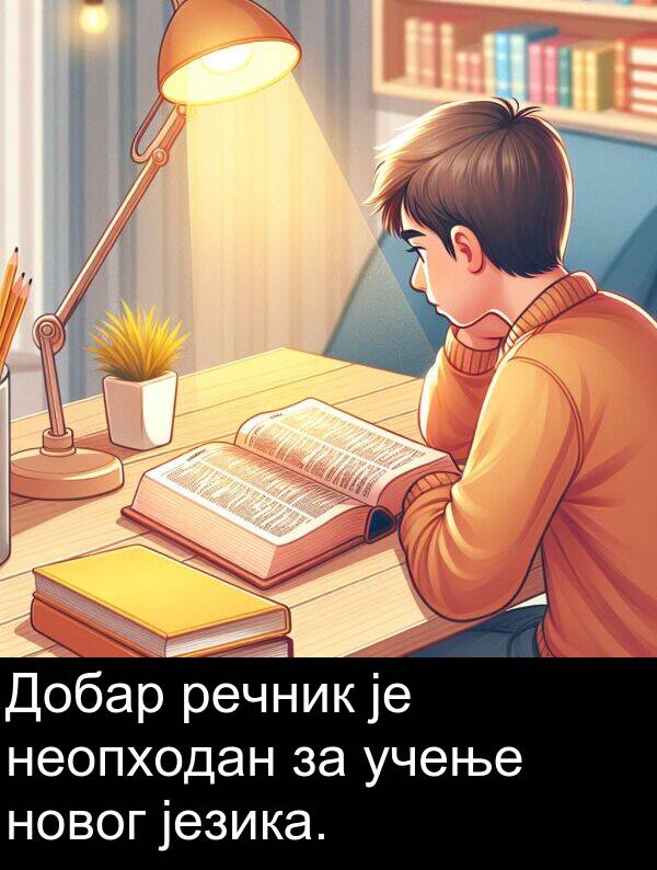учење: Добар речник је неопходан за учење новог језика.