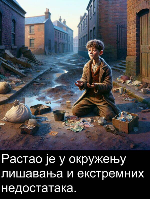 недостатака: Растао је у окружењу лишавања и екстремних недостатака.
