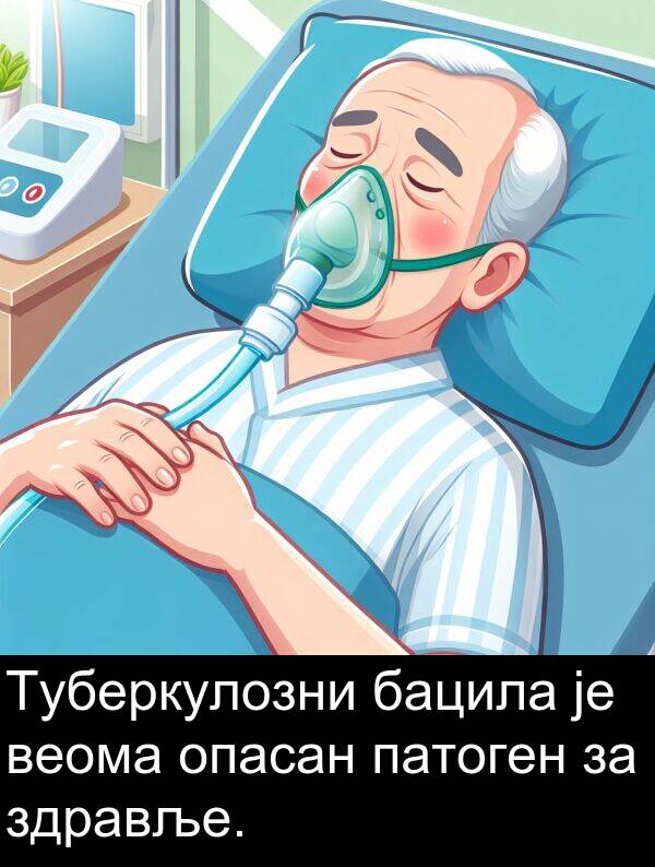 здравље: Туберкулозни бацила је веома опасан патоген за здравље.