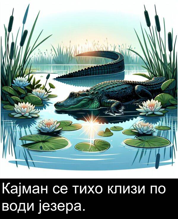 води: Кајман се тихо клизи по води језера.