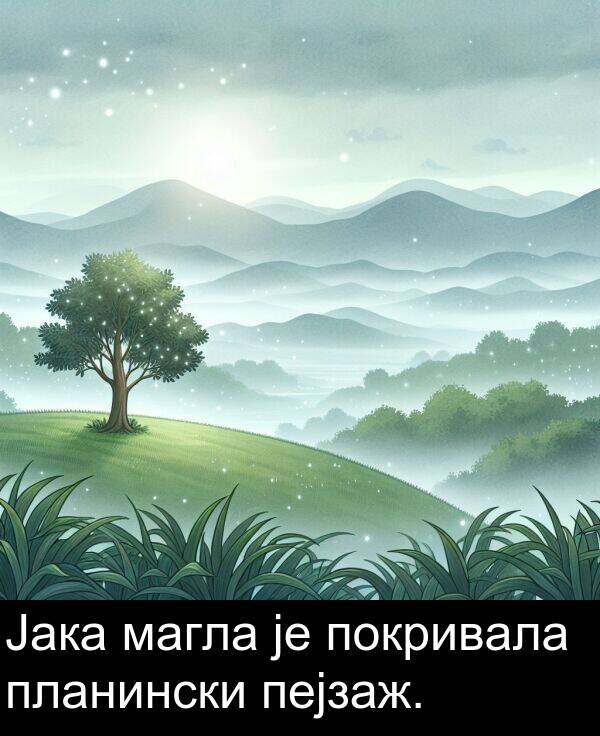покривала: Јака магла је покривала планински пејзаж.