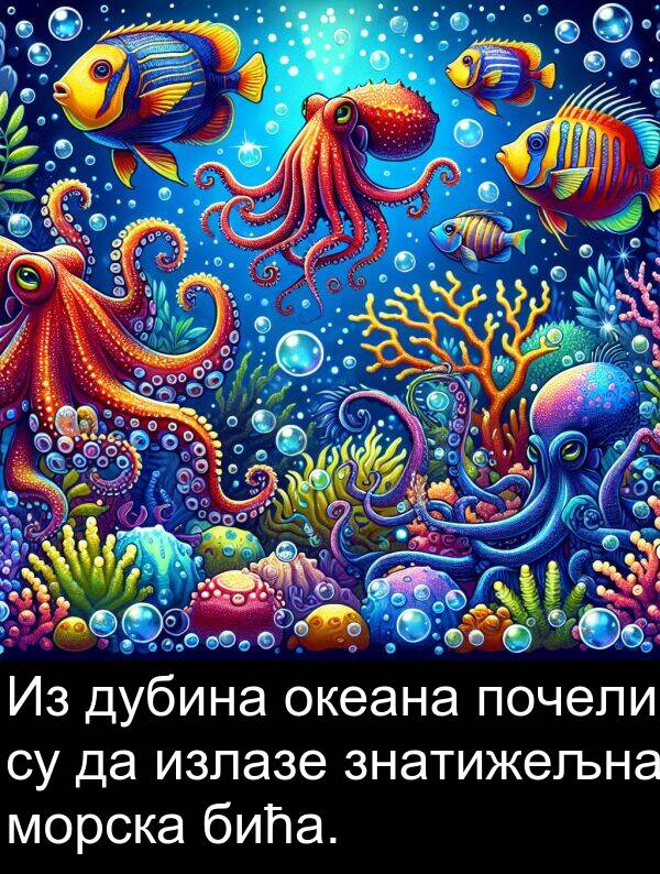 морска: Из дубина океана почели су да излазе знатижељна морска бића.