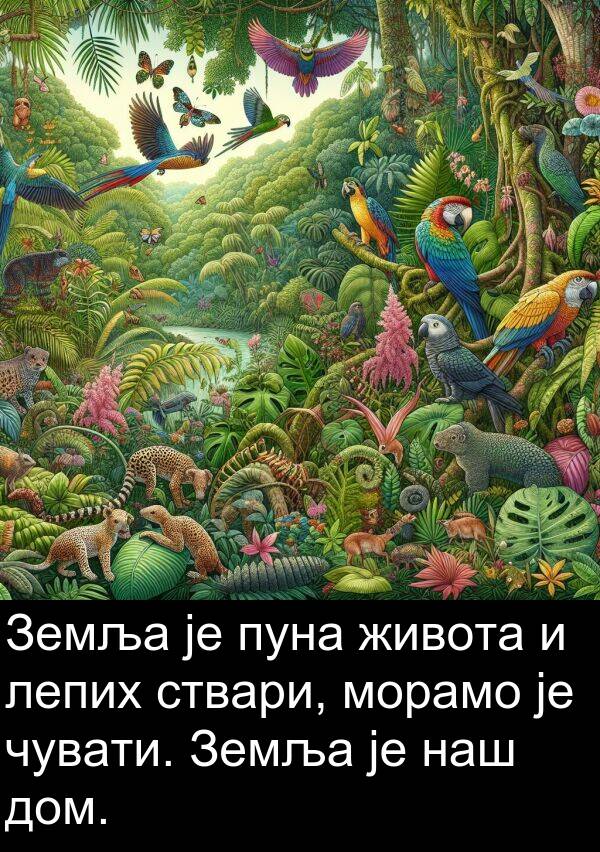 дом: Земља је пуна живота и лепих ствари, морамо је чувати. Земља је наш дом.