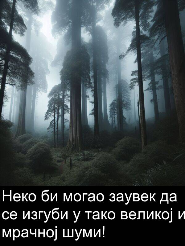 могао: Неко би могао заувек да се изгуби у тако великој и мрачној шуми!
