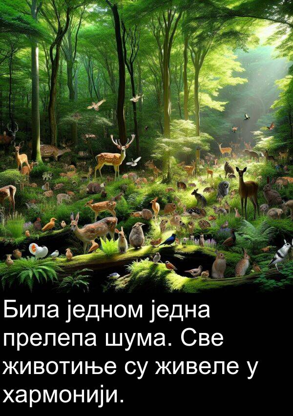 једна: Била једном једна прелепа шума. Све животиње су живеле у хармонији.