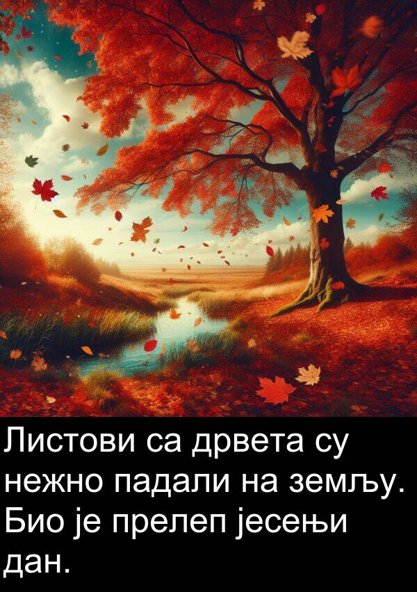 дрвета: Листови са дрвета су нежно падали на земљу. Био је прелеп јесењи дан.