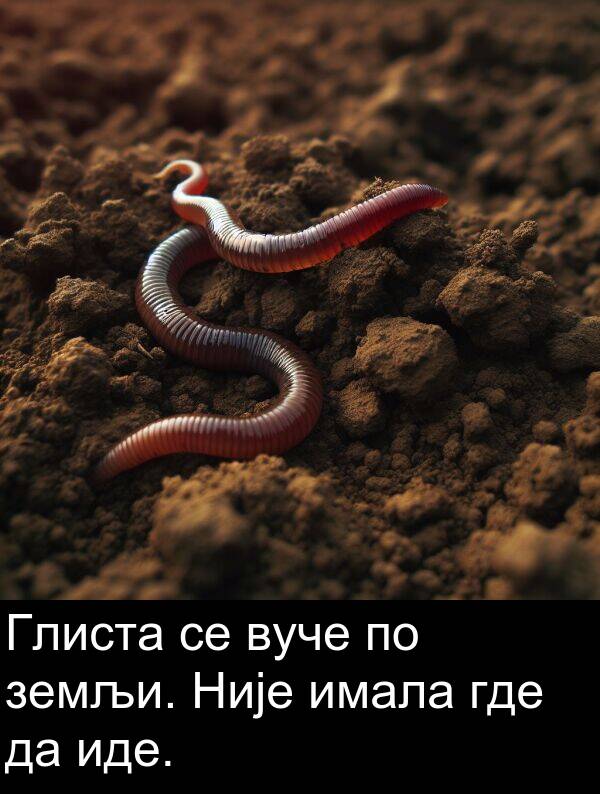 земљи: Глиста се вуче по земљи. Није имала где да иде.