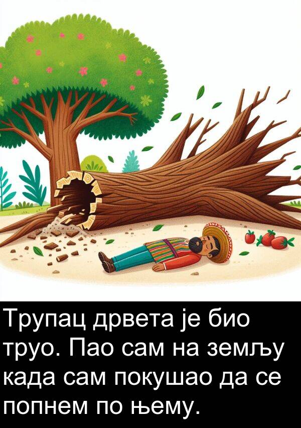 попнем: Трупац дрвета је био труо. Пао сам на земљу када сам покушао да се попнем по њему.