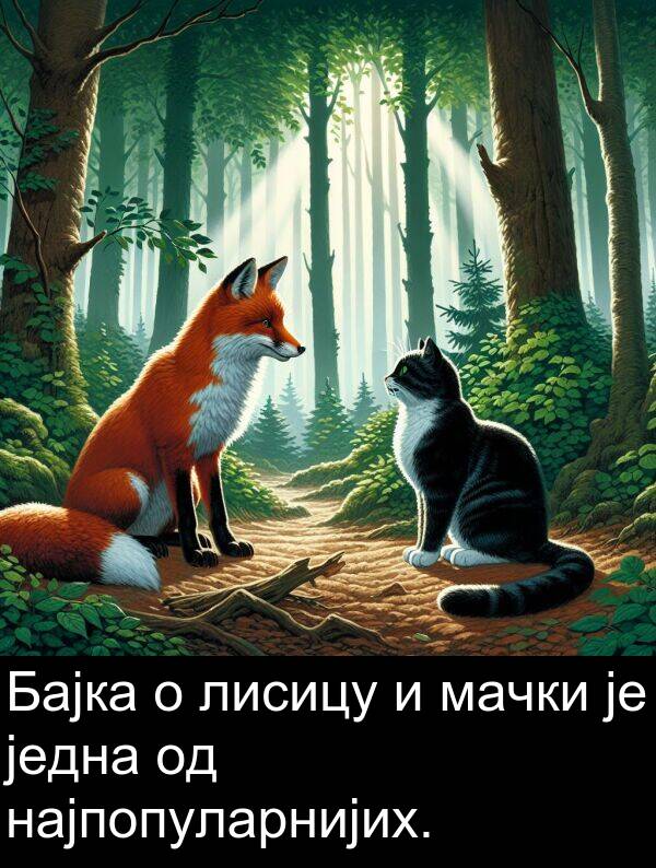 једна: Бајка о лисицу и мачки је једна од најпопуларнијих.