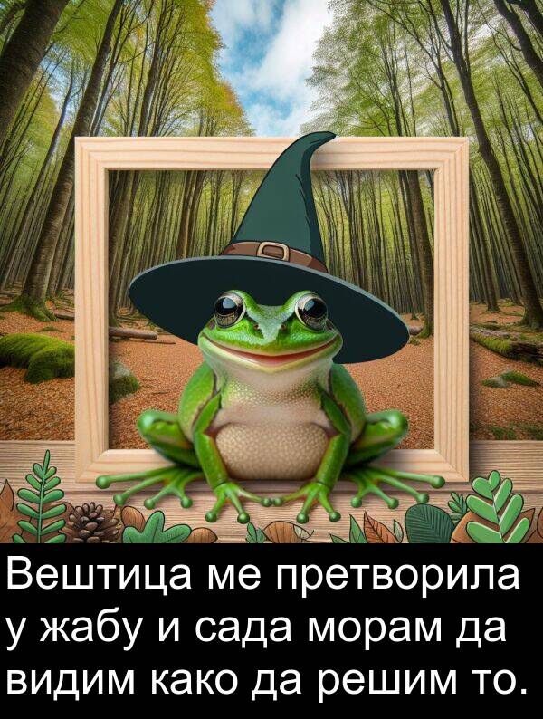 то: Вештица ме претворила у жабу и сада морам да видим како да решим то.