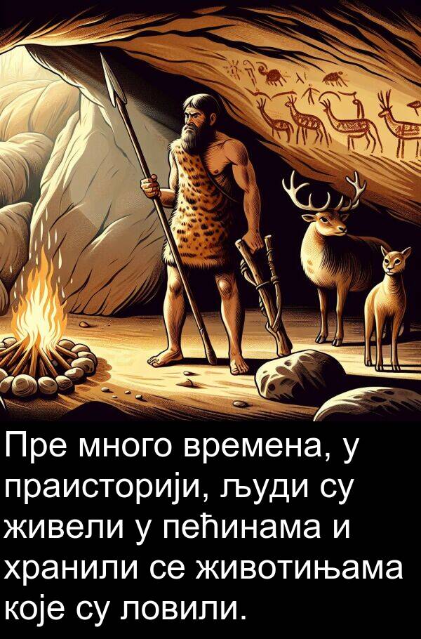 времена: Пре много времена, у праисторији, људи су живели у пећинама и хранили се животињама које су ловили.
