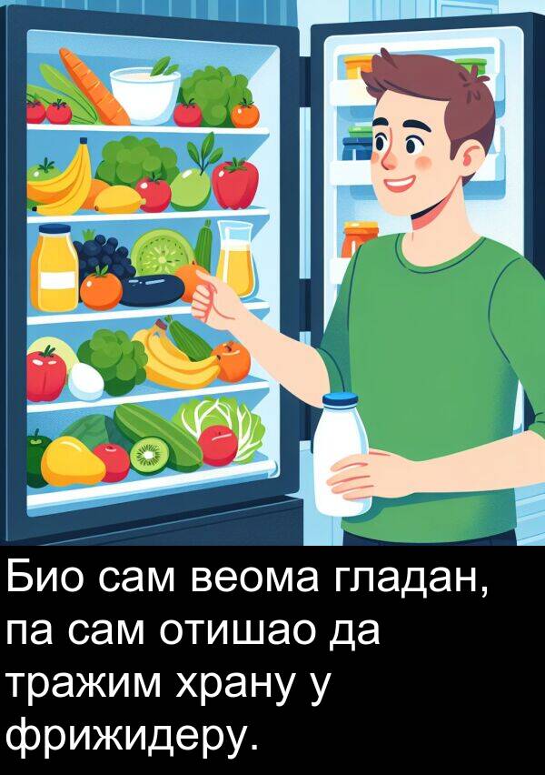 тражим: Био сам веома гладан, па сам отишао да тражим храну у фрижидеру.