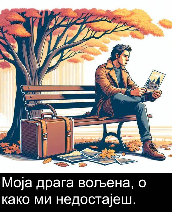 драга: Моја драга вољена, о како ми недостајеш.
