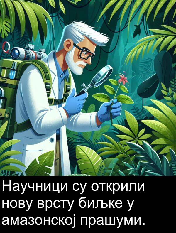 открили: Научници су открили нову врсту биљке у амазонској прашуми.