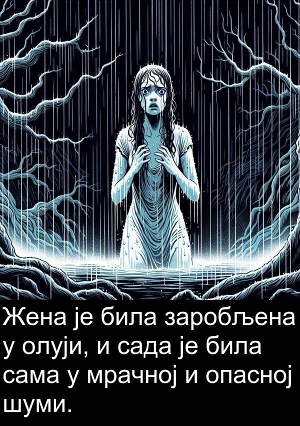 мрачној: Жена је била заробљена у олуји, и сада је била сама у мрачној и опасној шуми.