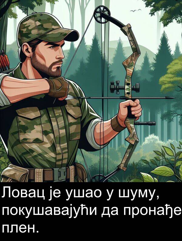 плен: Ловац је ушао у шуму, покушавајући да пронађе плен.