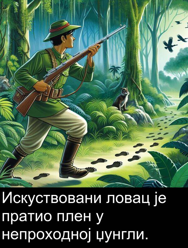 плен: Искуствовани ловац је пратио плен у непроходној џунгли.