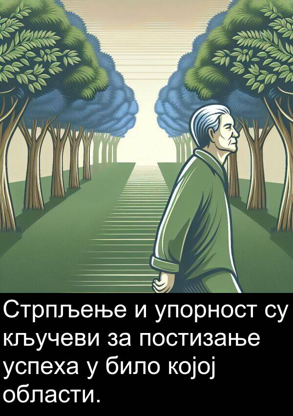 области: Стрпљење и упорност су кључеви за постизање успеха у било којој области.