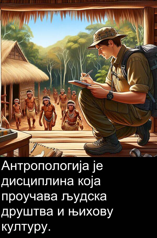 људска: Антропологија је дисциплина која проучава људска друштва и њихову културу.