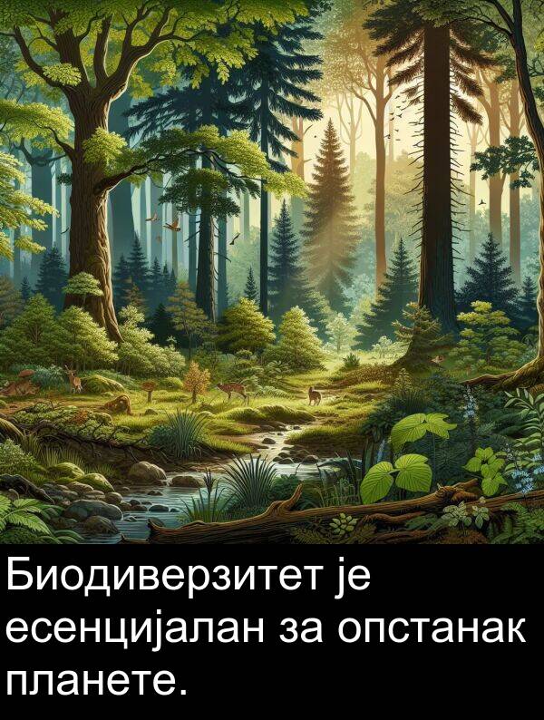 планете: Биодиверзитет је есенцијалан за опстанак планете.