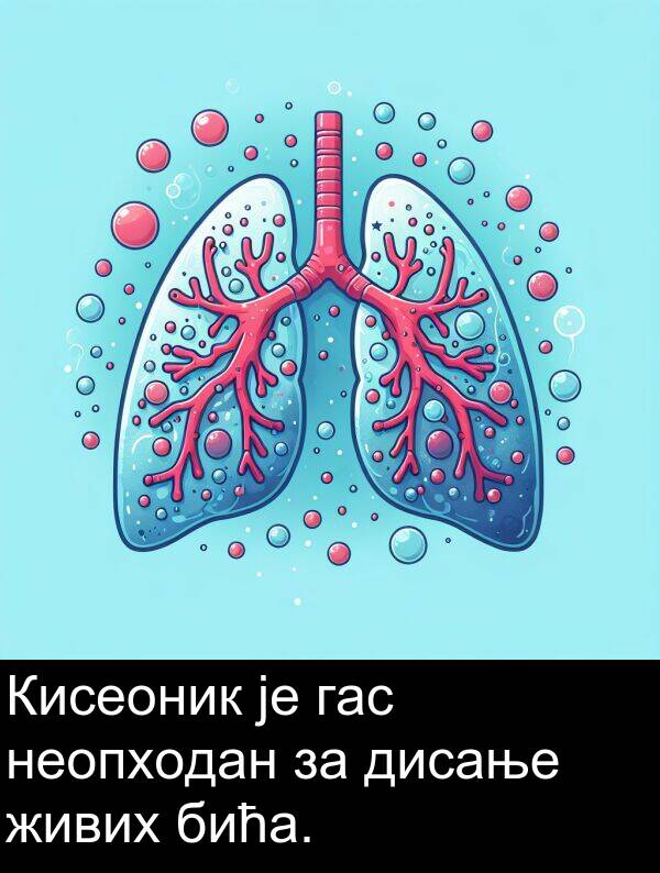 бића: Кисеоник је гас неопходан за дисање живих бића.
