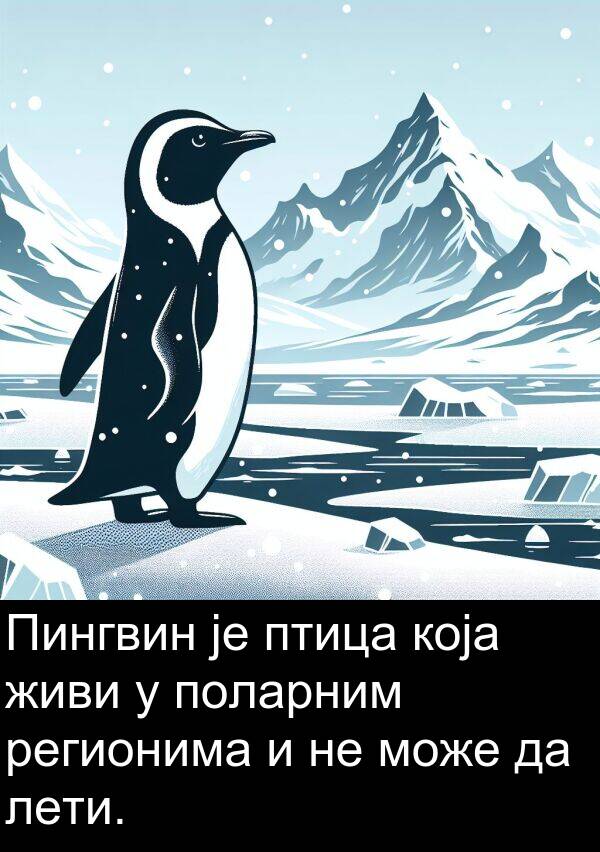 поларним: Пингвин је птица која живи у поларним регионима и не може да лети.