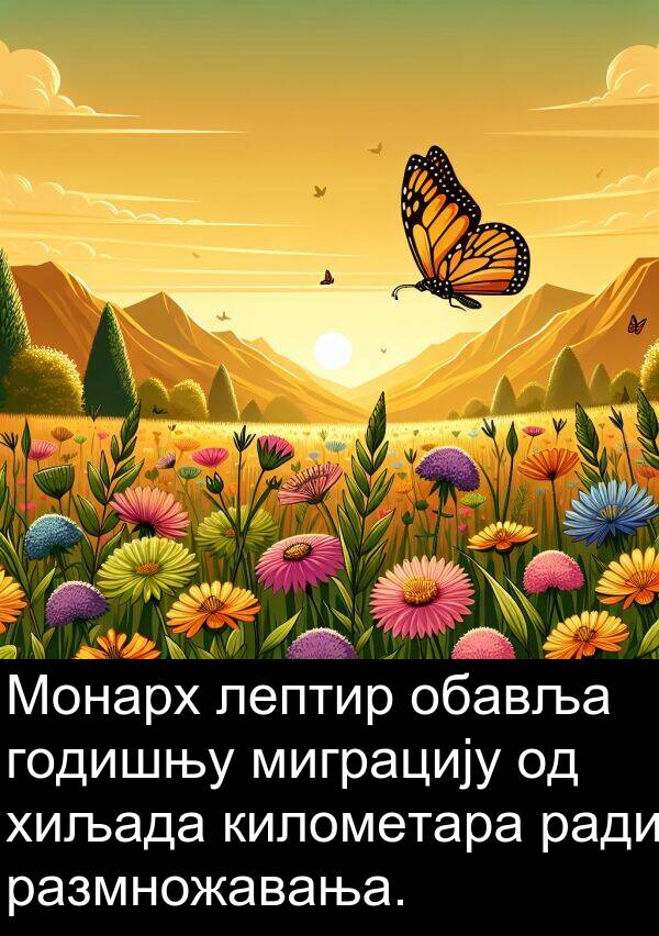 миграцију: Монарх лептир обавља годишњу миграцију од хиљада километара ради размножавања.