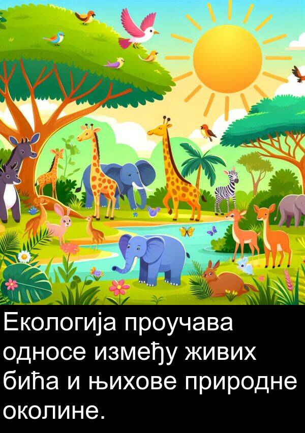 проучава: Екологија проучава односе између живих бића и њихове природне околине.