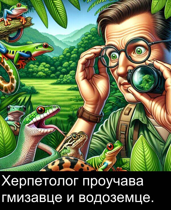 проучава: Херпетолог проучава гмизавце и водоземце.