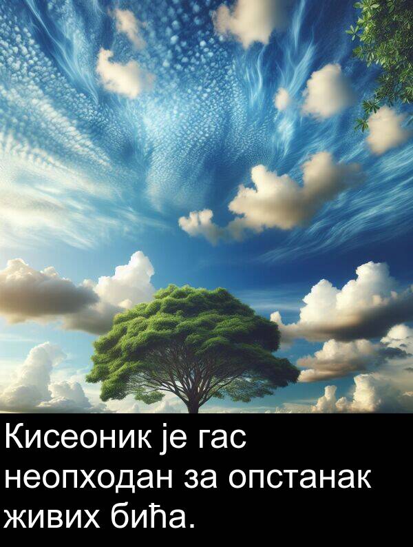 бића: Кисеоник је гас неопходан за опстанак живих бића.