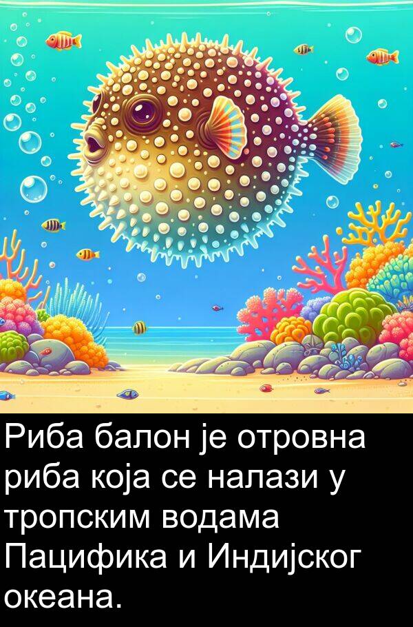 тропским: Риба балон је отровна риба која се налази у тропским водама Пацифика и Индијског океана.