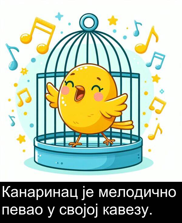 мелодично: Канаринац је мелодично певао у својој кавезу.