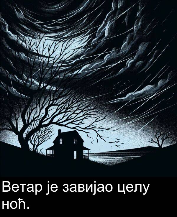 ноћ: Ветар је завијао целу ноћ.