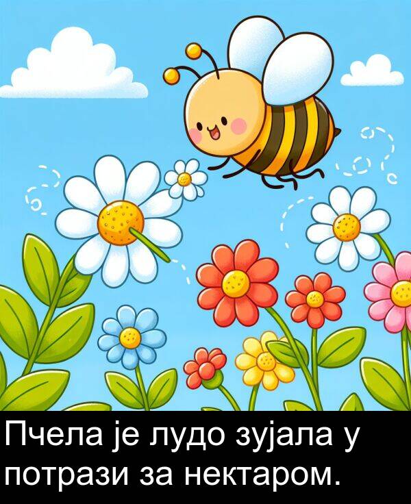 нектаром: Пчела је лудо зујала у потрази за нектаром.
