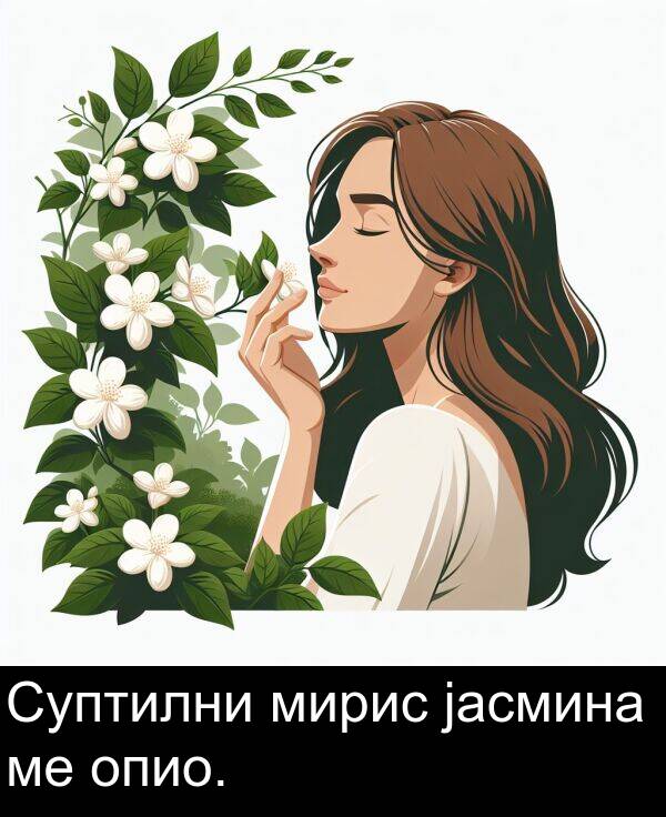 мирис: Суптилни мирис јасмина ме опио.
