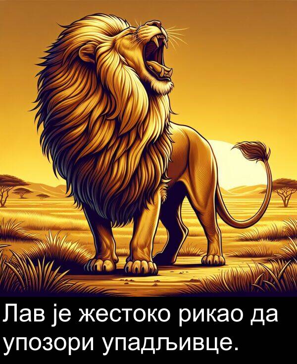 упадљивце: Лав је жестоко рикао да упозори упадљивце.