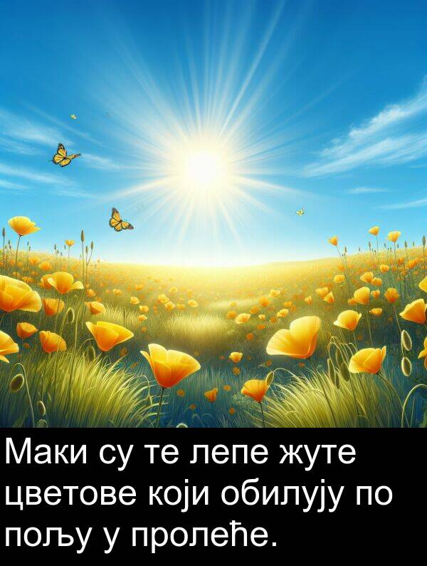 обилују: Маки су те лепе жуте цветове који обилују по пољу у пролеће.