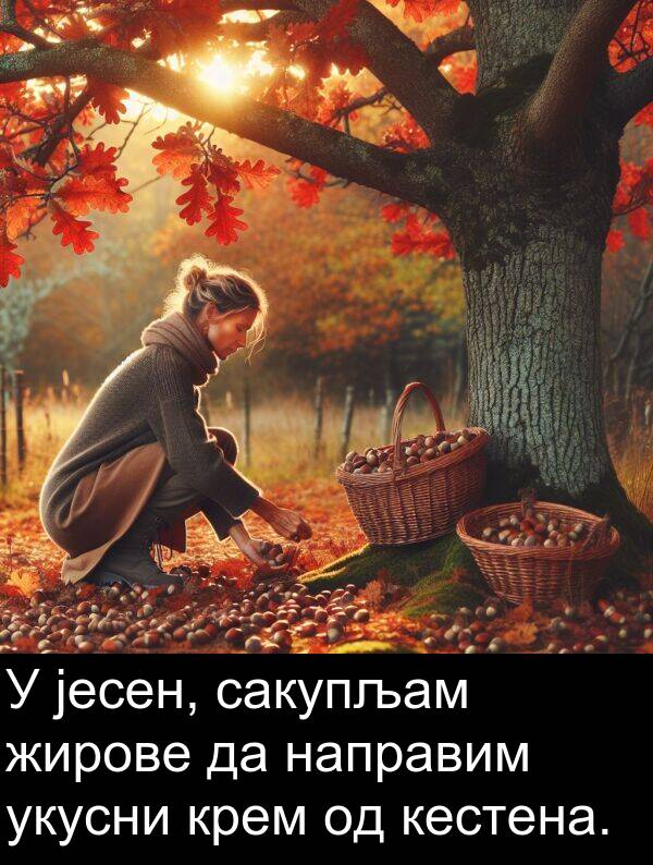 укусни: У јесен, сакупљам жирове да направим укусни крем од кестена.