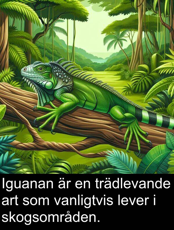 trädlevande: Iguanan är en trädlevande art som vanligtvis lever i skogsområden.