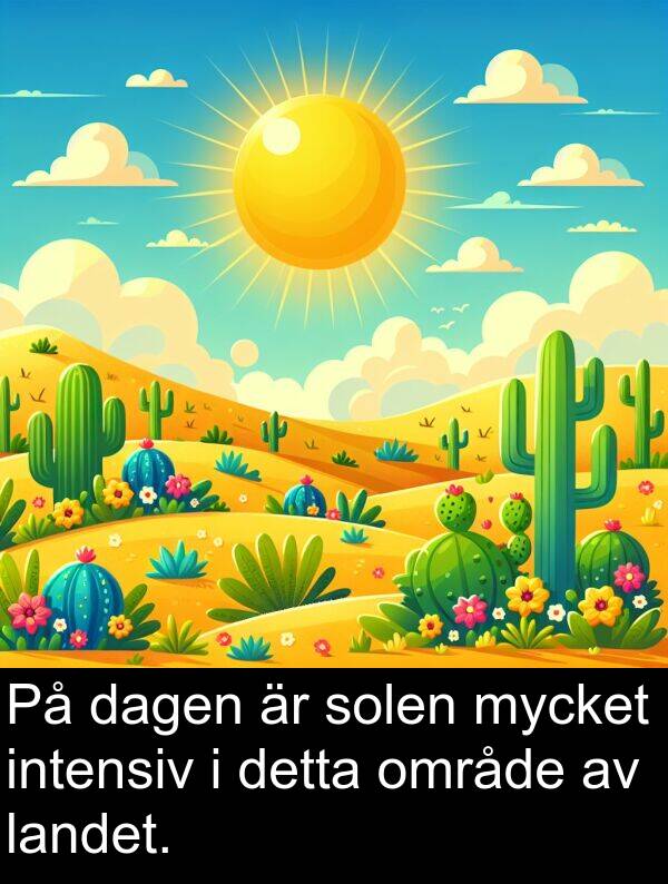 landet: På dagen är solen mycket intensiv i detta område av landet.