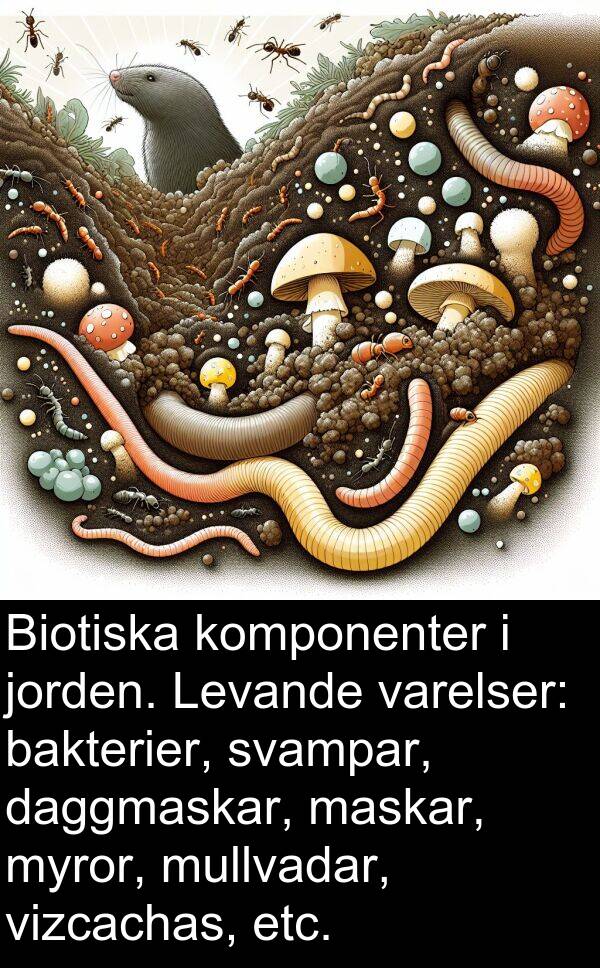 komponenter: Biotiska komponenter i jorden. Levande varelser: bakterier, svampar, daggmaskar, maskar, myror, mullvadar, vizcachas, etc.
