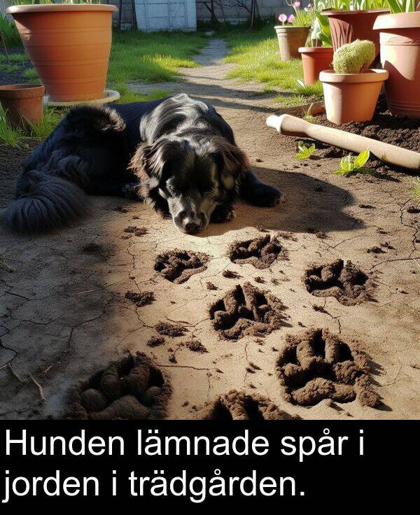 lämnade: Hunden lämnade spår i jorden i trädgården.