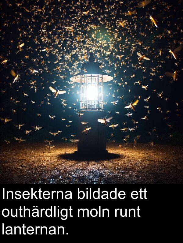 moln: Insekterna bildade ett outhärdligt moln runt lanternan.