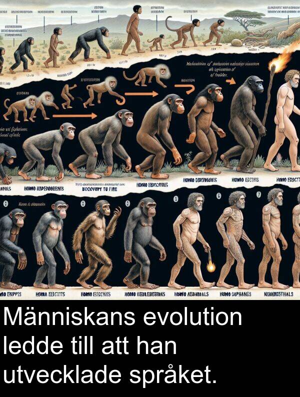 språket: Människans evolution ledde till att han utvecklade språket.